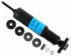 ALINQUANT 174037 Shock Absorber
